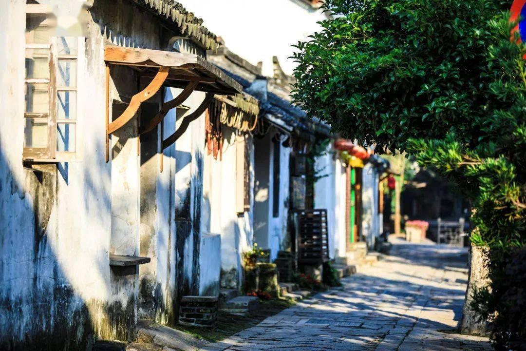 逃离绿色山谷